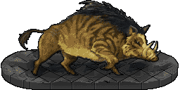 A fierce Wild Boar with sharp tusks